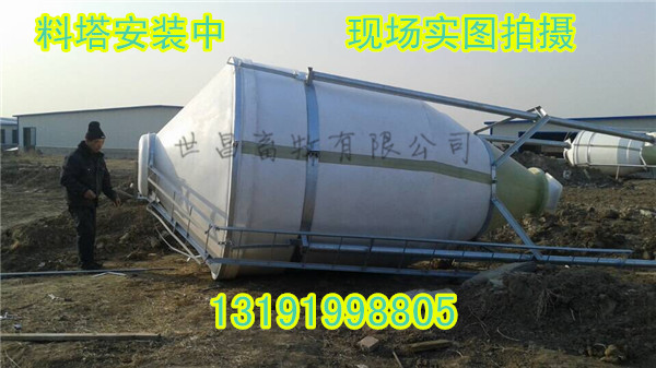 全自動喂豬上料系統(tǒng)