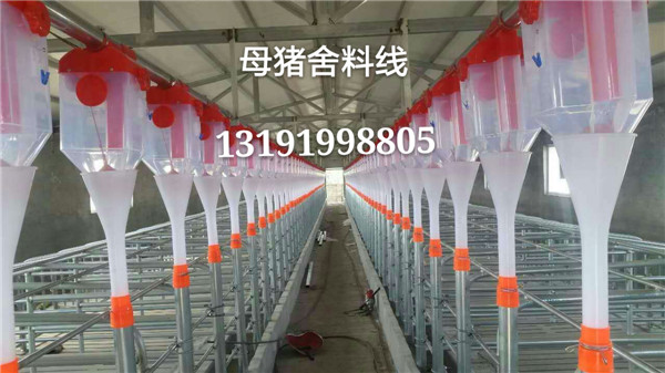 全自動豬料線設(shè)計圖紙