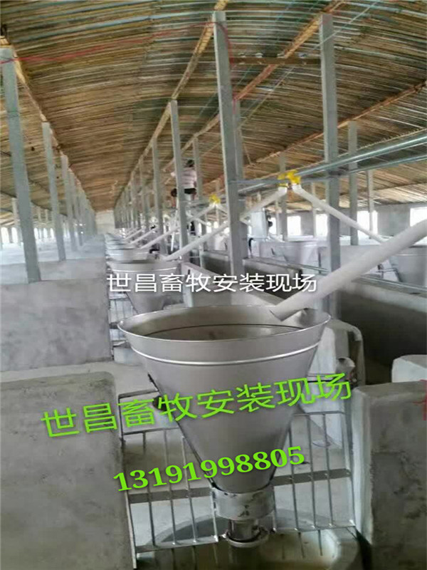 新品自動料線