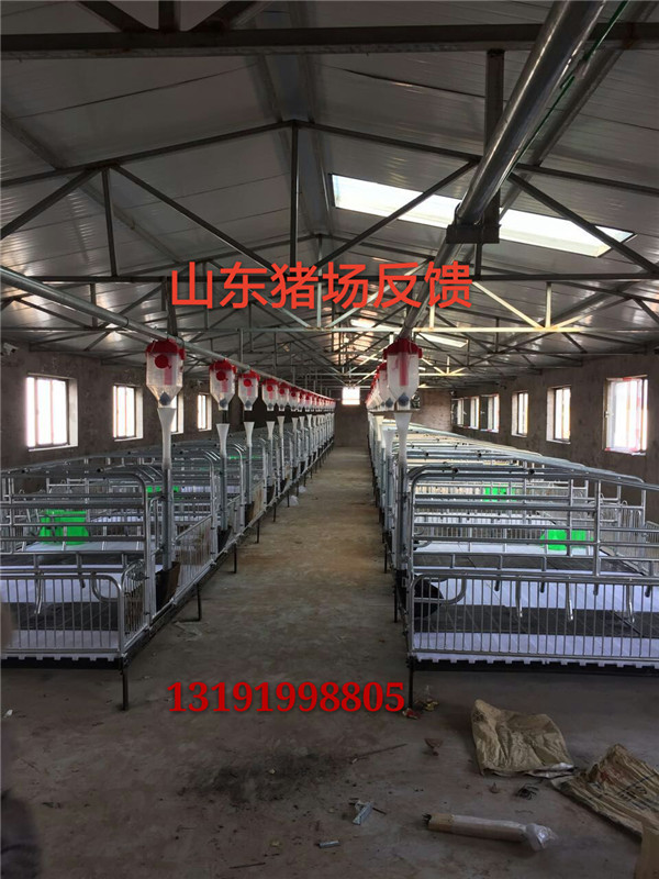 豬場自動化下料線