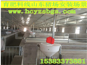 自動(dòng)喂料系統(tǒng)育肥豬大卷設(shè)計(jì)安裝