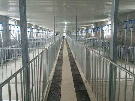 母豬自動(dòng)化喂豬料線新建豬場控料系統(tǒng)